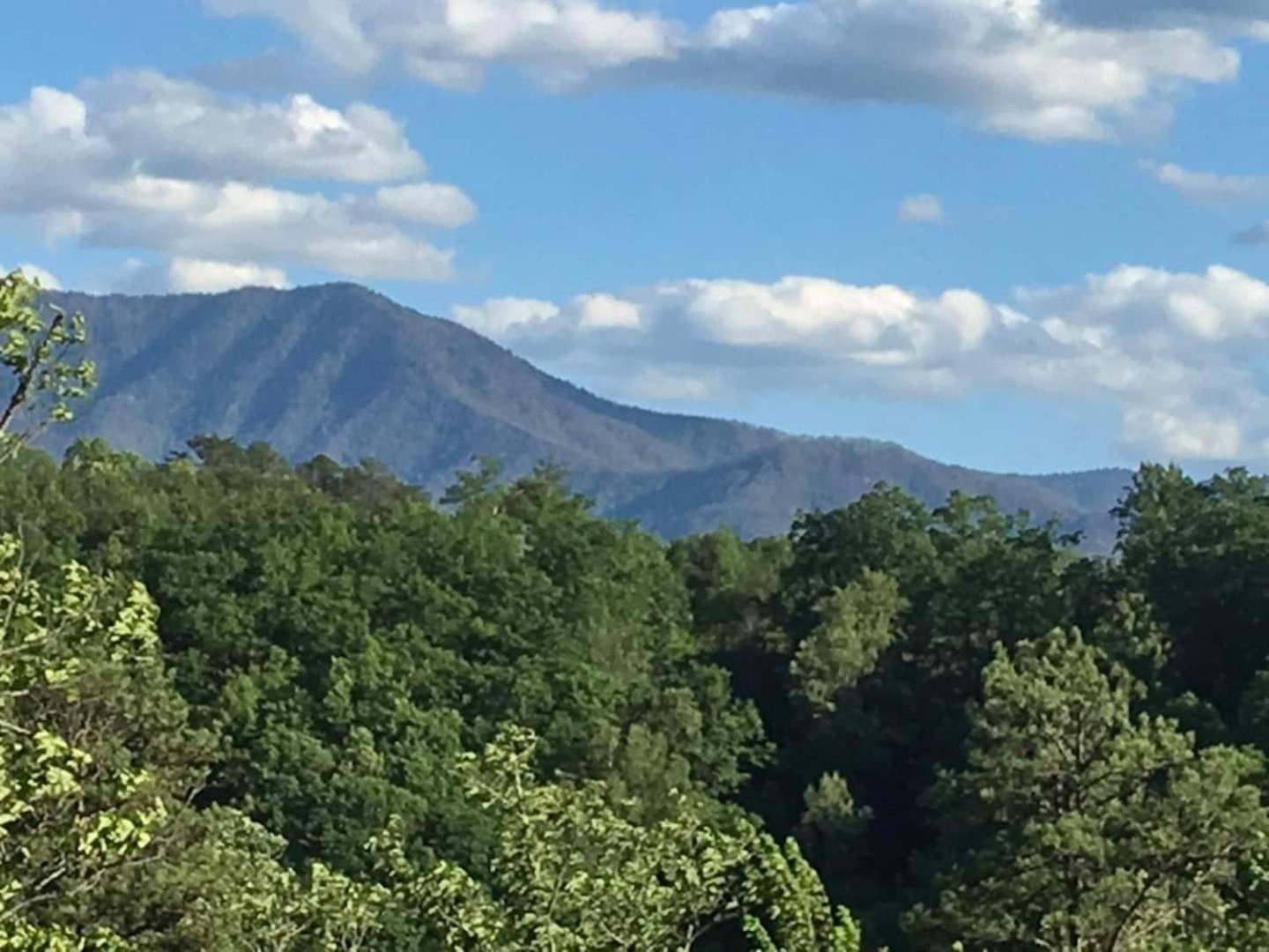 Romantic Mtn Cabin Hot Tub & Jacuzzi Views セバービル エクステリア 写真