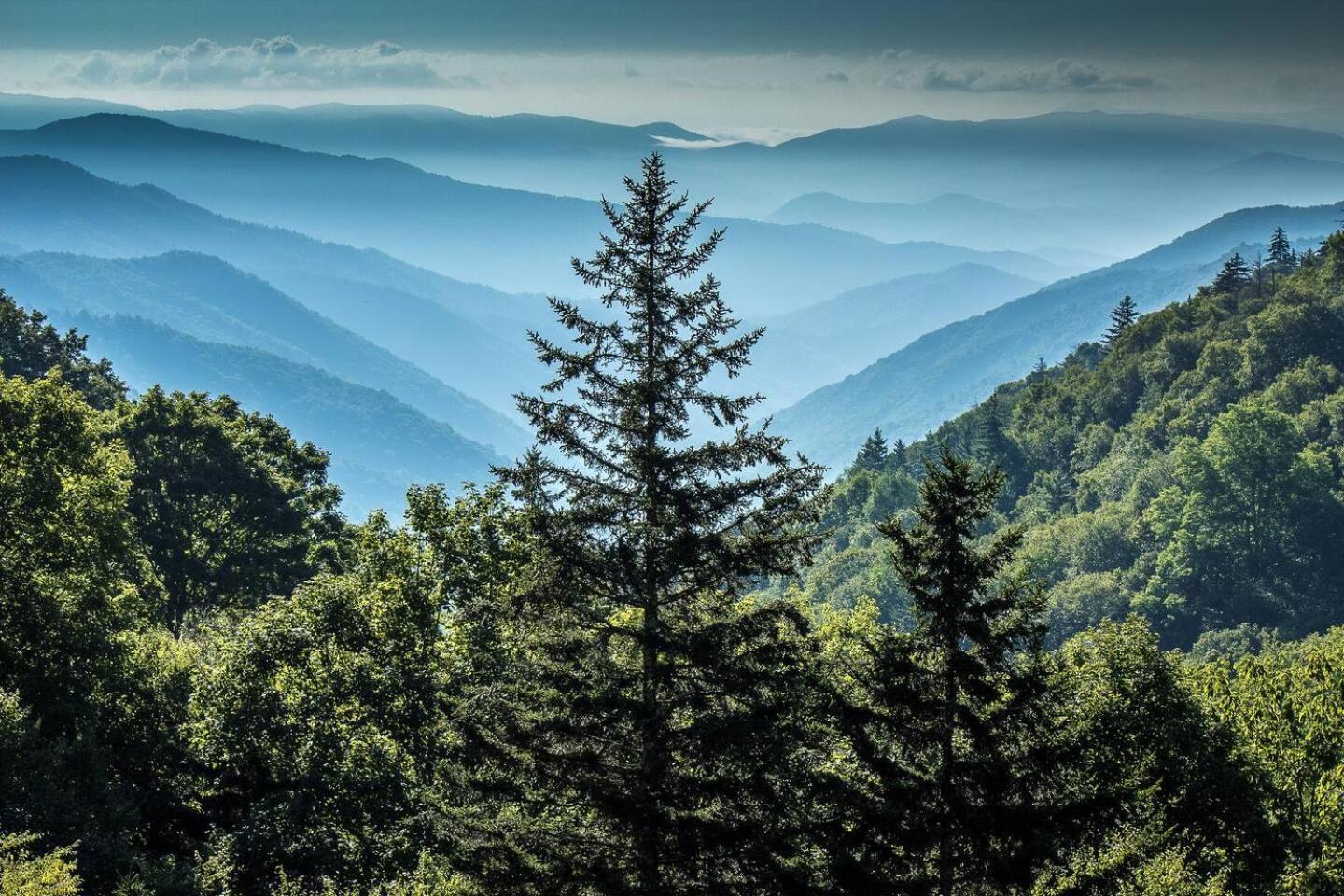 Romantic Mtn Cabin Hot Tub & Jacuzzi Views セバービル エクステリア 写真